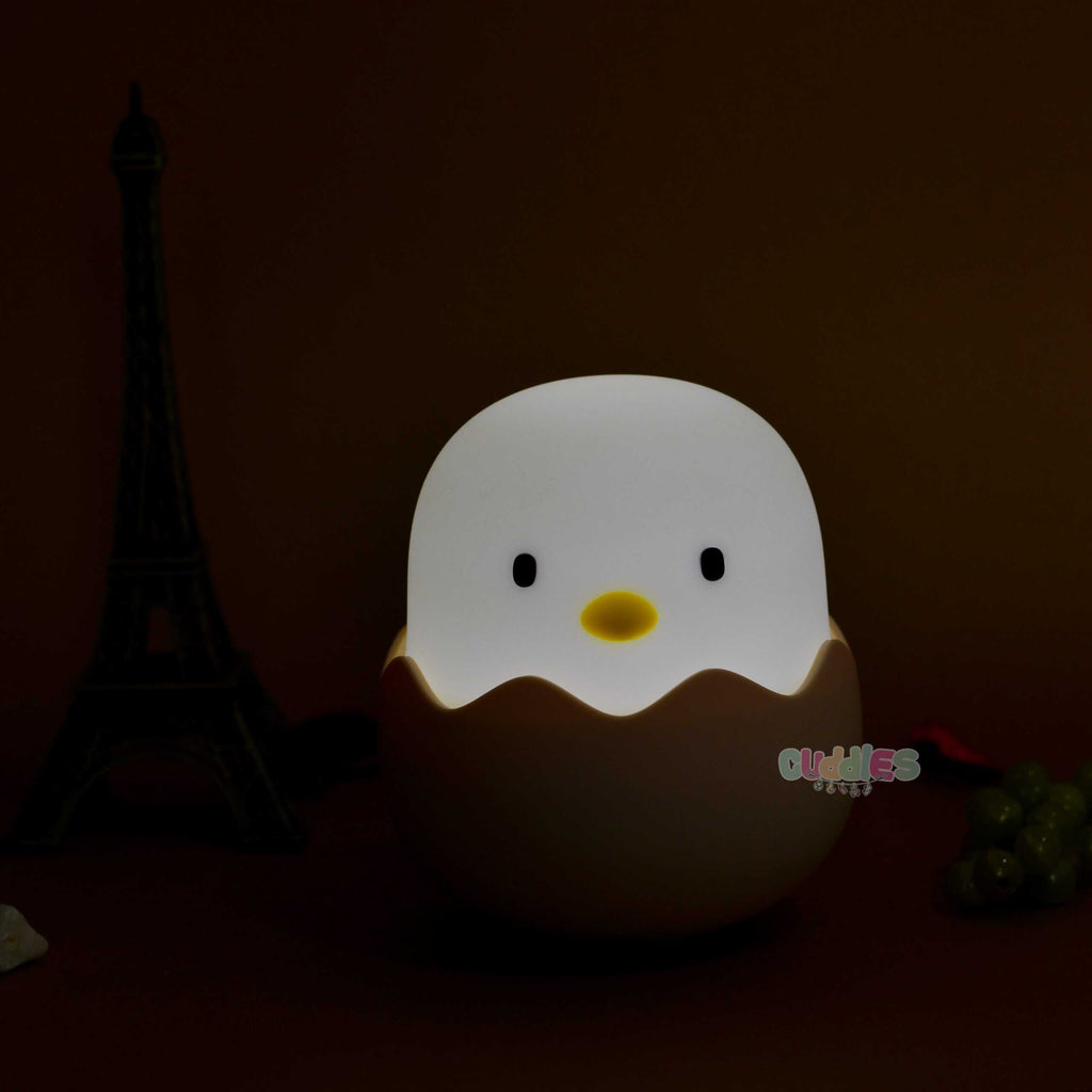 Egg Shell Lamp- Portable
